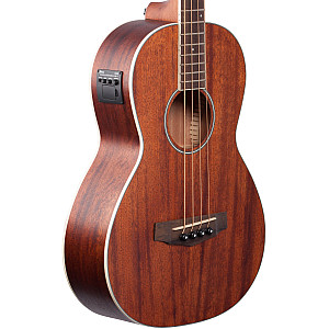 Ibanez PNB14E Acoustic Electric Bass Open Pore Natural